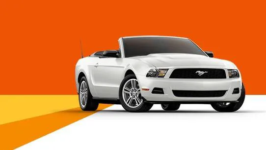 Budget Car Rental Picture 1