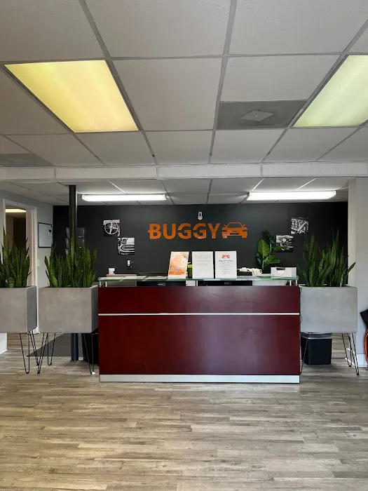 Buggy Rideshare Rental - Atlanta Picture 2