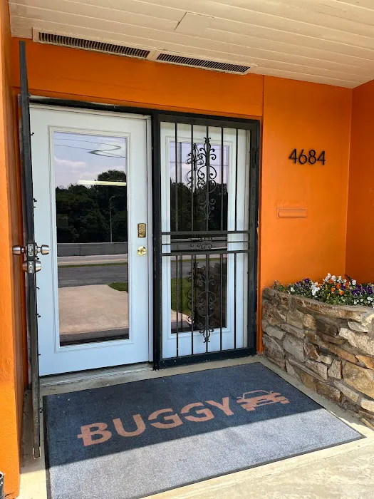 Buggy Rideshare Rental - Atlanta Picture 5