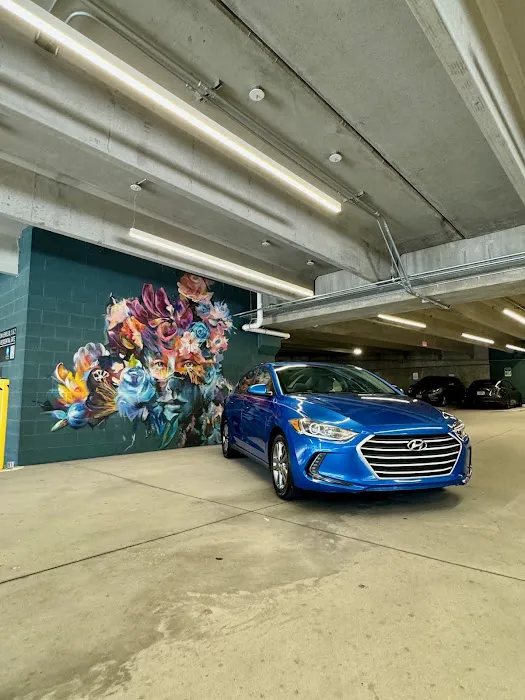 Atlanta Cash Car Rentals Picture 6