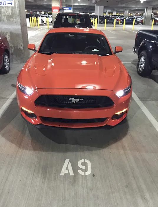 Budget Car Rental Picture 3