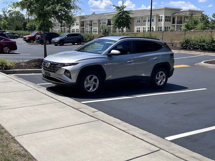 ACE Rent A Car Picture 3