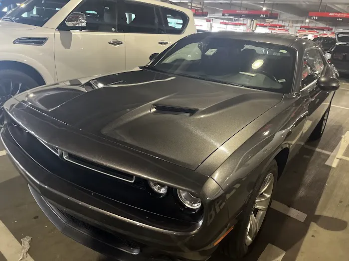 Payless Car Rental Picture 4
