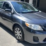 Alianza auto rental