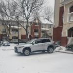 Avis Car Rental