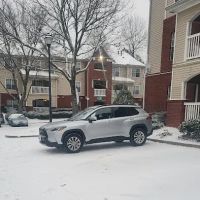 Avis Car Rental ico