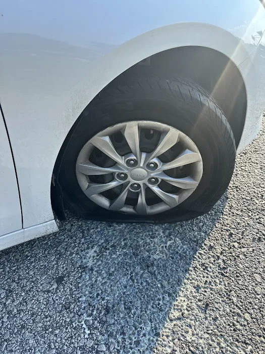 Routes Car Rental Picture 4