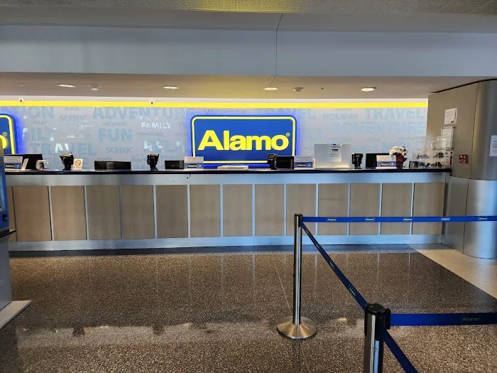 Alamo Rent A Car Picture 1