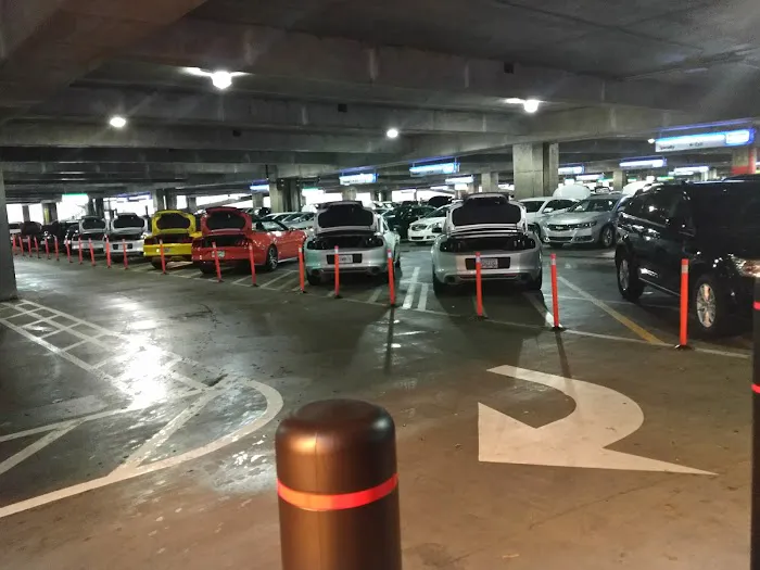 Alamo Rent A Car Picture 8