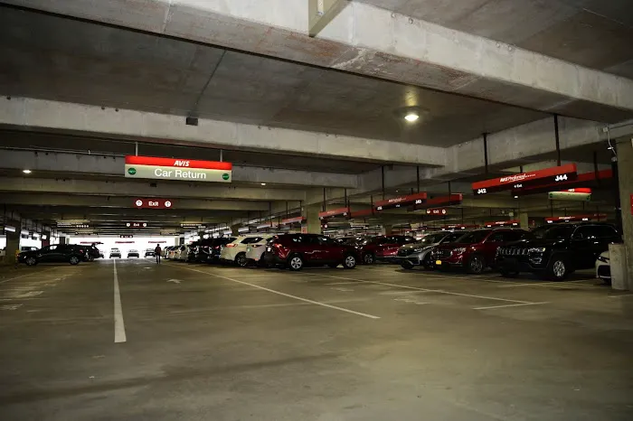 Avis Car Rental Picture 1