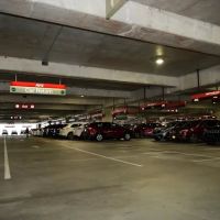 Avis Car Rental ico