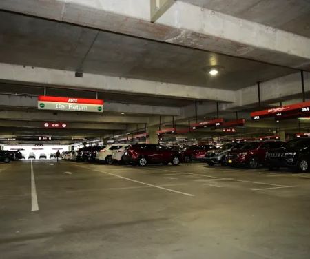 Avis Car Rental