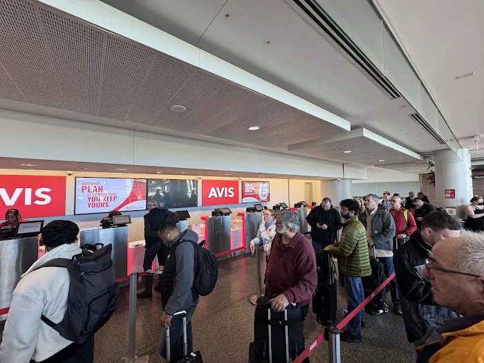 Avis Car Rental Picture 6