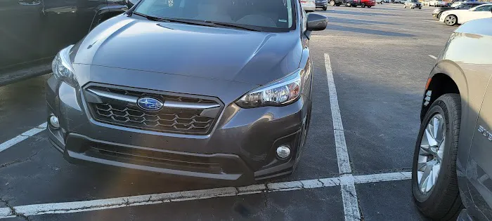Avis Car Rental Picture 3