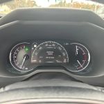 Avis Car Rental