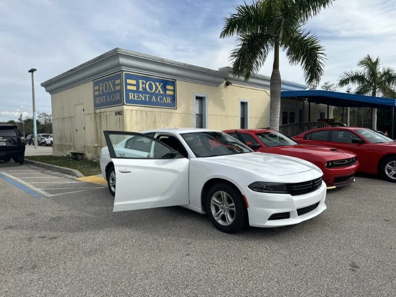 Is Fox Car Rental Good? A Complete Guide to Its Service and Pricing