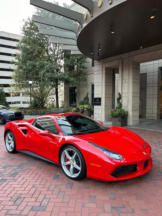 Luxury Exotic Rentals Picture 1