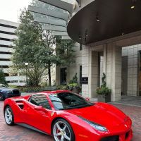 Luxury Exotic Rentals ico