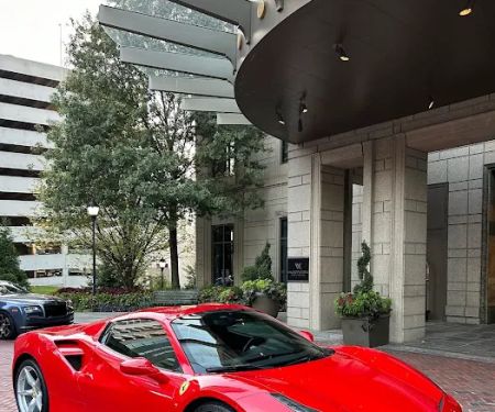 Luxury Exotic Rentals