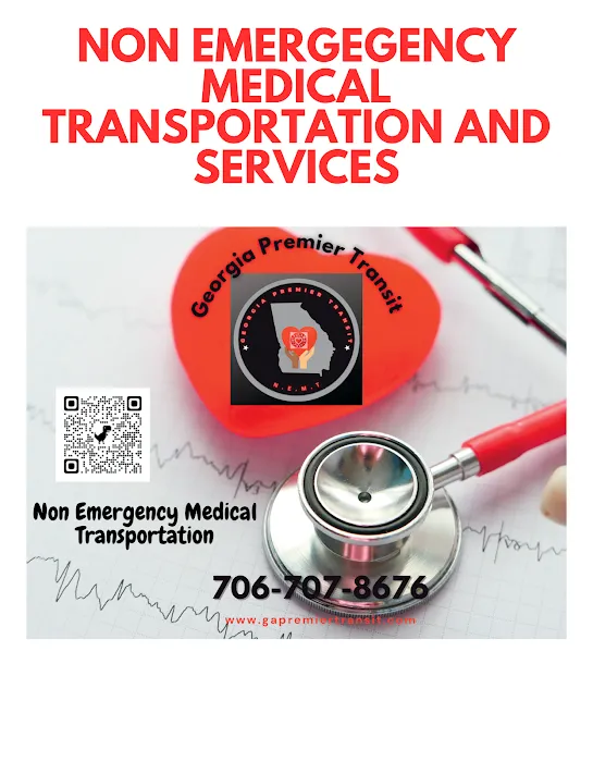 Georgia Premier Transit Picture 4
