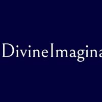 DivineImaginations LLC ico
