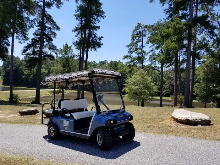 Senoia Cart Co. Picture 8