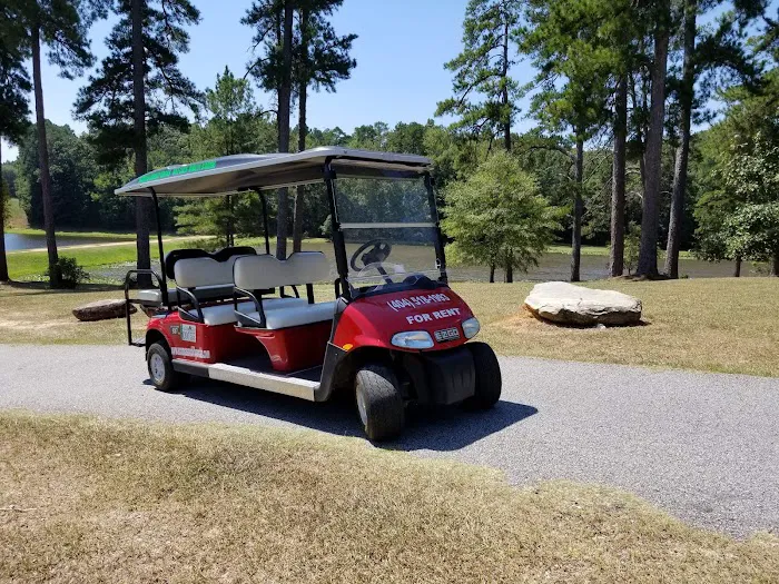 Senoia Cart Co. Picture 3