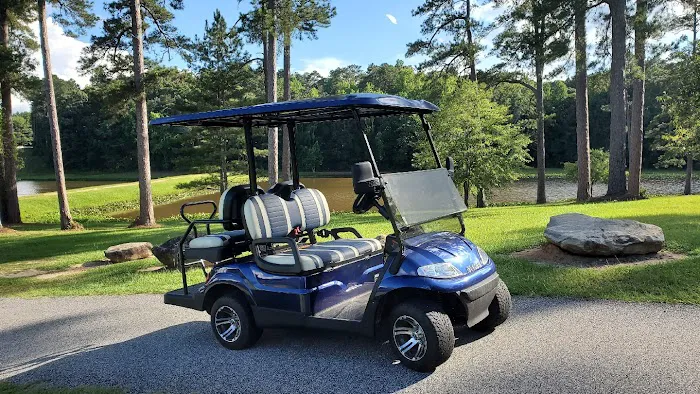 Senoia Cart Co. Picture 4