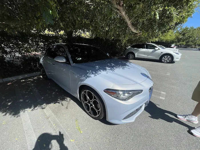 autoseek Picture 2