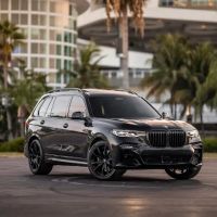 Amani Miami ico