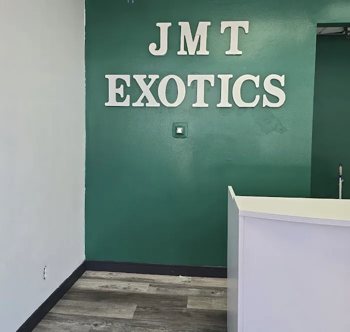 JMT Exotics Rent-A-Car-Van Picture 2