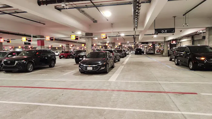 LAX Consolidated Car Rentals (Returns) Picture 1