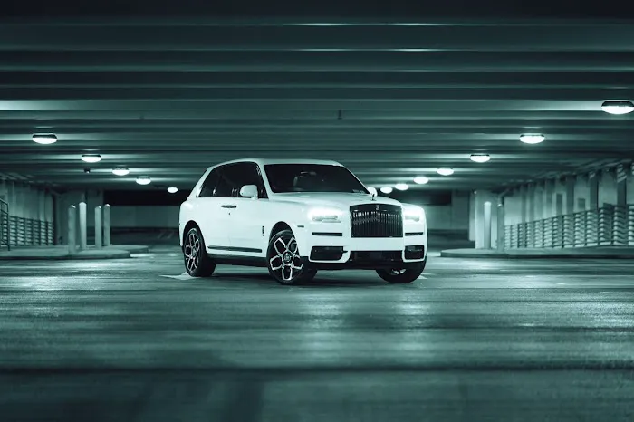Grand luxury Rental Picture 2