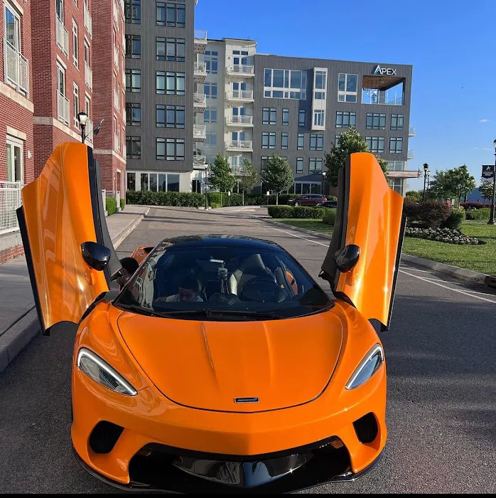 Grand luxury Rental Picture 5