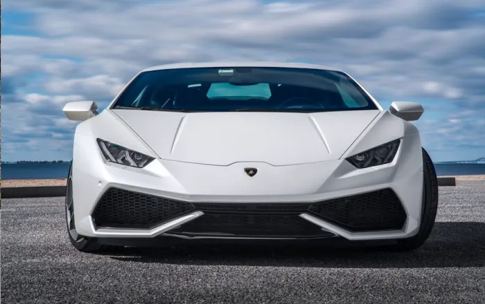 Velocity Exotics Picture 6
