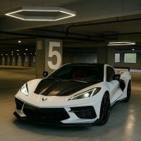 Emmons Luxury ico