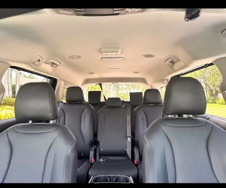 3 Little Birds Vibes