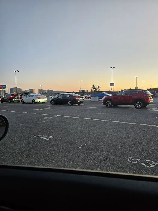 Dollar Car Rental Picture 3