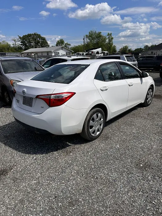 King G Car Rental Picture 7