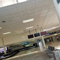 Avis Car Rental ico