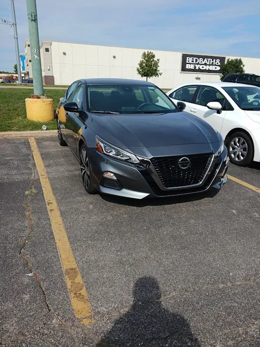 Avis Car Rental Picture 4