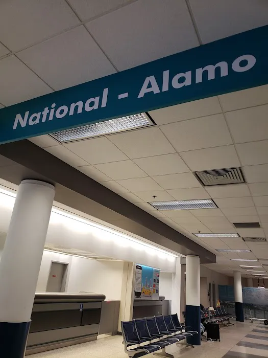 Alamo Rent A Car Picture 1