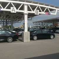 Avis Car Rental ico