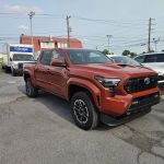 Avis Car Rental