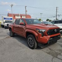 Avis Car Rental ico