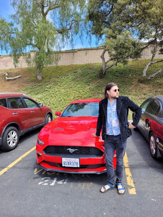 Avis Car Rental Picture 10