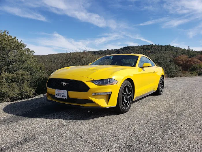 Avis Car Rental Picture 4