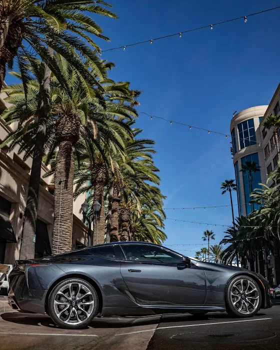 SD Cruising Rentals Picture 5