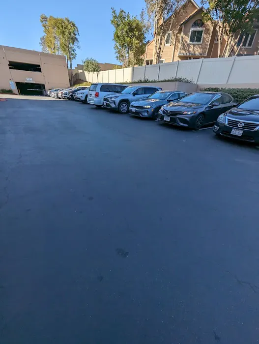 Budget Car Rental Picture 2