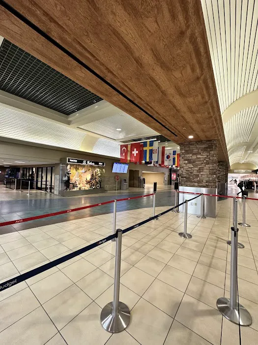 Avis Car Rental Picture 10